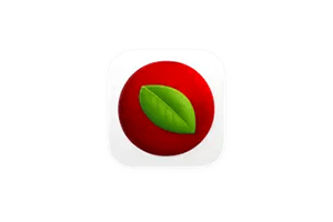 Lingon Pro for Mac v10.1.4 自动化管理工具图标