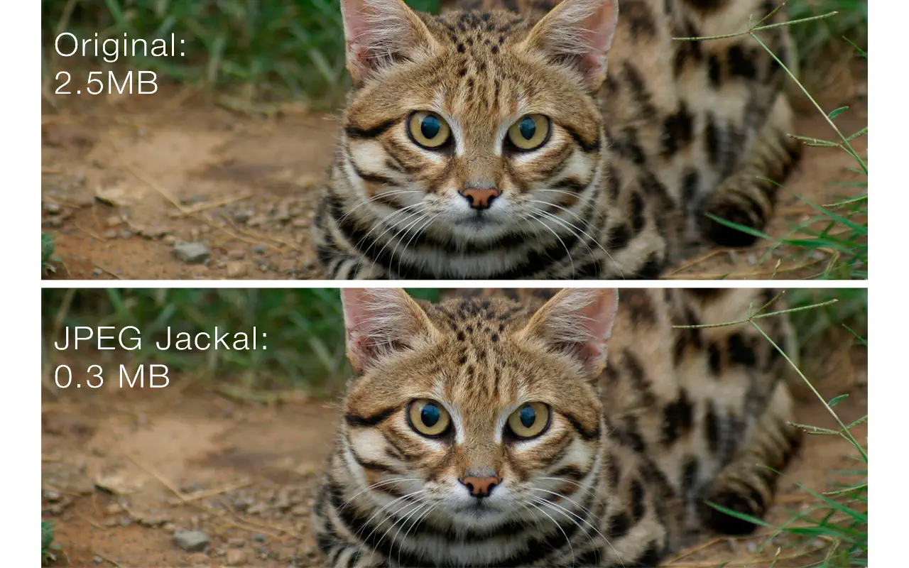 JPEG Jackal for Mac v3.0 JPEG图片压缩工具